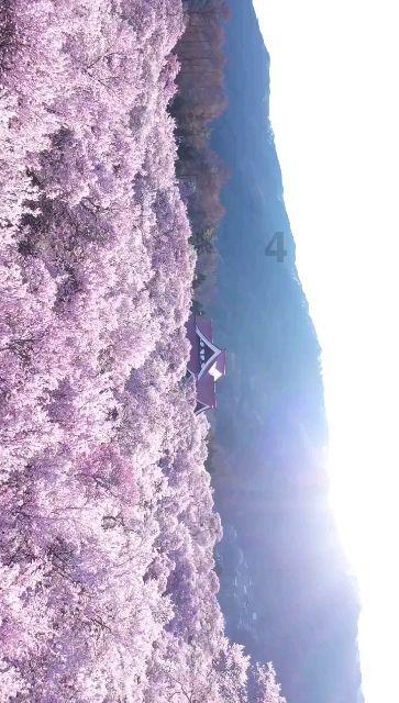 蜡笔小新大逃杀